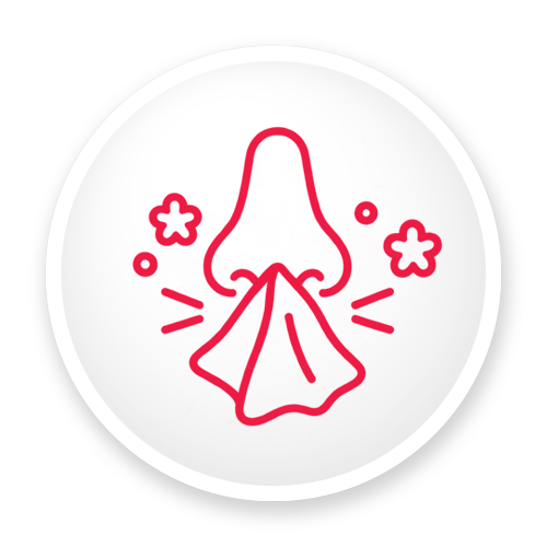 Allergies Icon