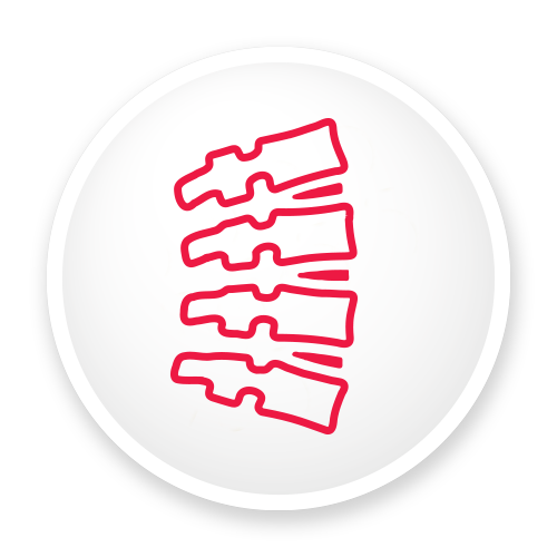 Chiropractic Care Icon